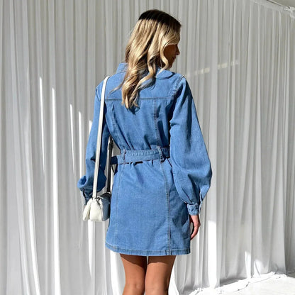 Stella Denim Dress