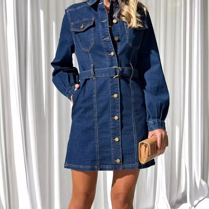 Stella Denim Dress