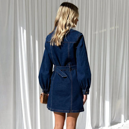 Stella Denim Dress